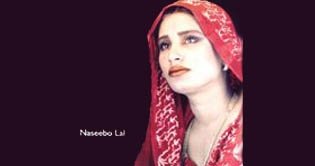 Producers record songs on gun point: Naseebo